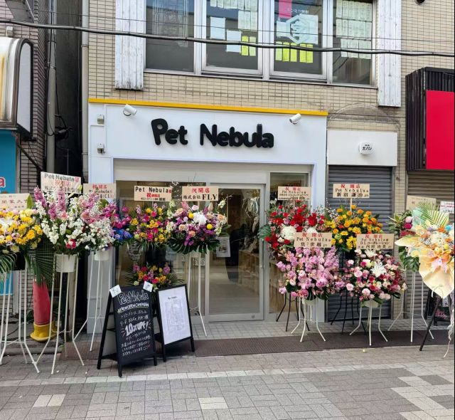 Pet Nebula幡ヶ谷